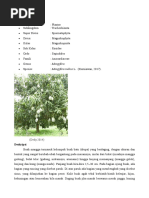 Download TANAMN SMP 8 FIXXdoc by Papanya Cyra N Abym SN359296085 doc pdf