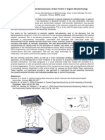 Peptide Nanotubes-3