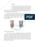 Anatomi Kelenjar Thyroid