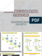 More About Dna & Rna Structure