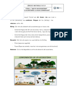 Ficha 1 - Que Son Els Ecosistemes