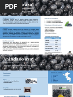 FICHA-ARANDANOS-final (1).pdf