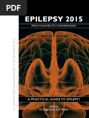 Epilepsy 2015 A Practical Guidepdf Epilepsy Incidence - 