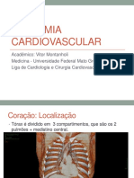 Anatomia Cardiovascular PDF