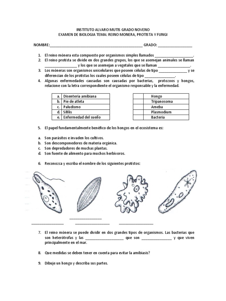 Examen Protistos Moneras y Hongos Grado Noveno | PDF | Gases | Hongo