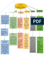 Mapa Conceptual Emprendedor y La Innovación