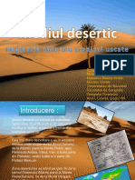 Mediul Desertic