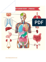 Imprimible Organos Cuerpo Humano