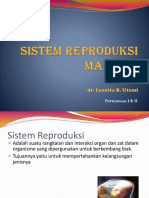 BDM-repro-1,2.pptx