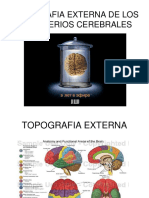 Topografia Externa de Los Hemisferios Cerebrales