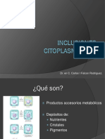 Inclusiones citoplasmáticas