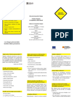 Riesgos Psicosociales folleto.pdf