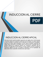 Induccion Al Cierre APICAL