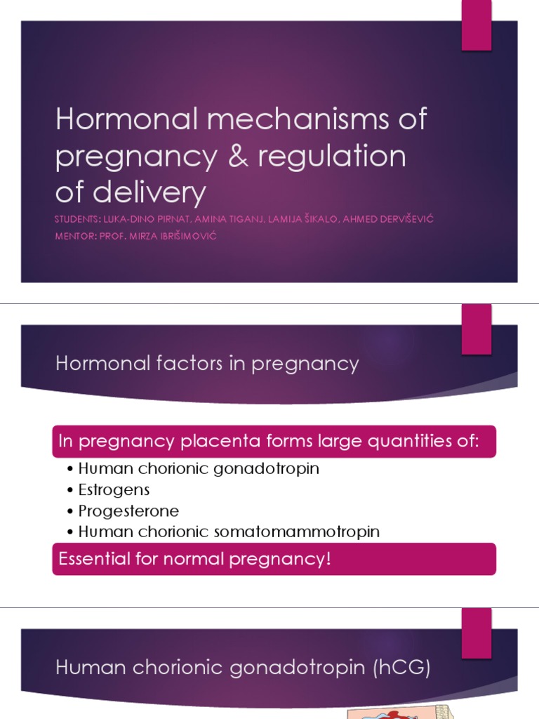 Pregnancy, parturition, breastfeeding physiology for medical students