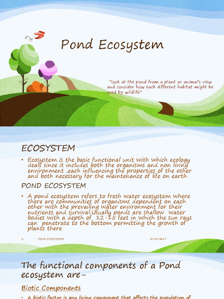 Pond Ecosystem PDF Pond Ecosystem