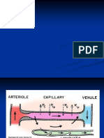 cardiopatia ischemica