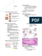 Histology - Epithelial Tissues