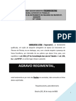 Agravo Regimental Interno Trabalhista TST Negativa Seguimento Recurso Revista PN244