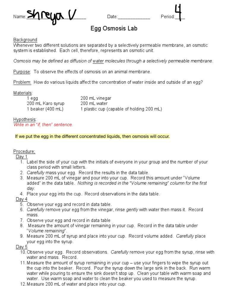 Egg Osmosis Lab | PDF | Osmosis | Applied And Interdisciplinary ...