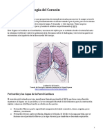 Anatom-a-y-fisiolog-a-del-coraz-n.pdf