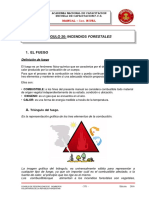 Incendios forestales: triángulo del fuego, etapas de la combustión y formas de propagación del calor