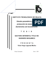 VictorHugoLagunas PDF