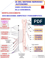 Importancia SNA PDF
