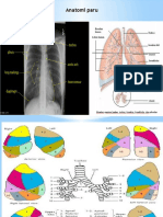 Anatomi Paru Dan Pneumonia