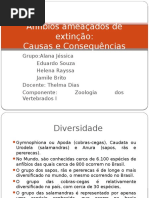 Anfibios slides.pptx