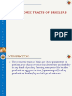 L-6economic Traits of Broilers