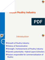 Theory 1poultry Industry