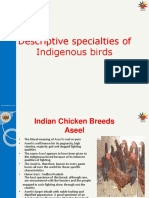 Descriptive Specialties of Indigenous Birds: © TANUVAS, 2011