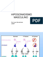 07 hipogonadismoexp