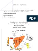 Metabolismo de lipídeos: β-oxidação, corpos cetônicos e síntese