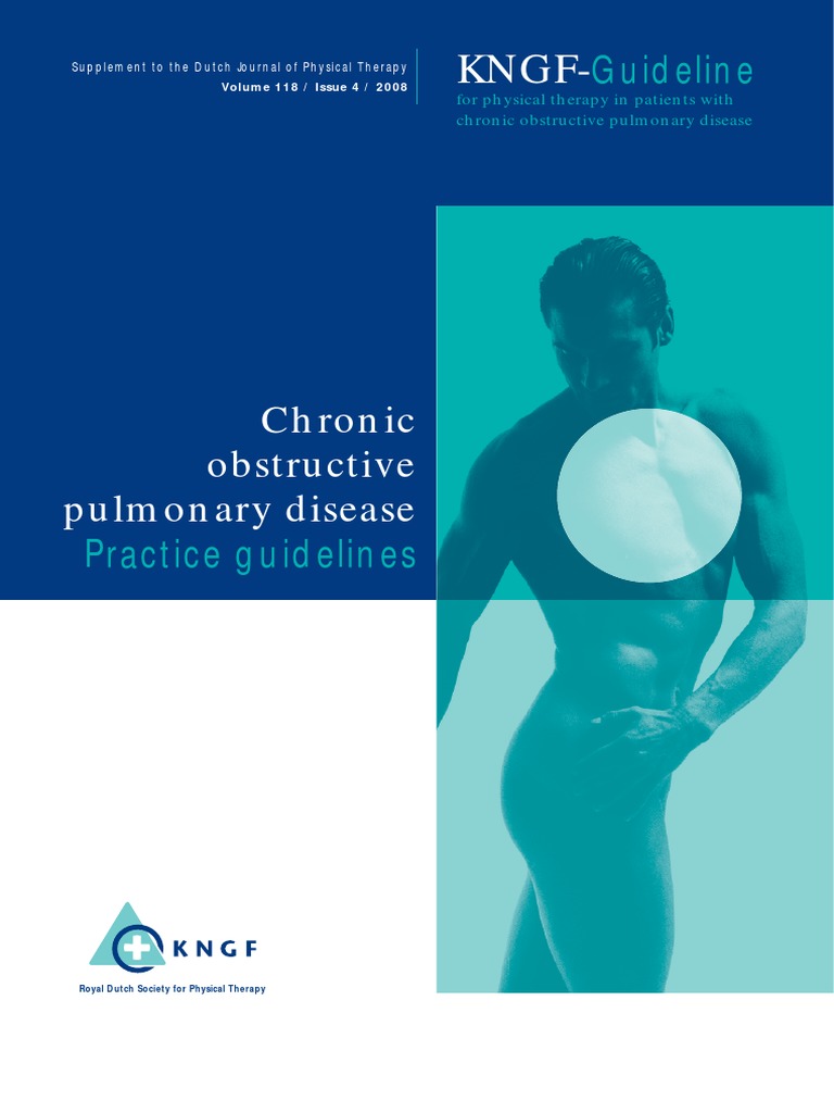 Dutch COPD Physiotherapy Guidelines PDF | PDF | Chronic Obstructive ...