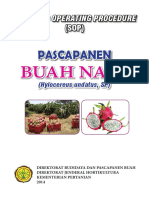 Buah Naga