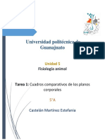 Fisiología animal: Planos corporales y términos de orientación