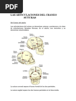 Las Articulaciones Del Craneo