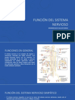 Funcion Del Sistema Nervioso Simpatico