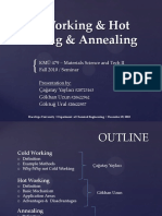 Cold_Hot_Working_Annealing.pdf