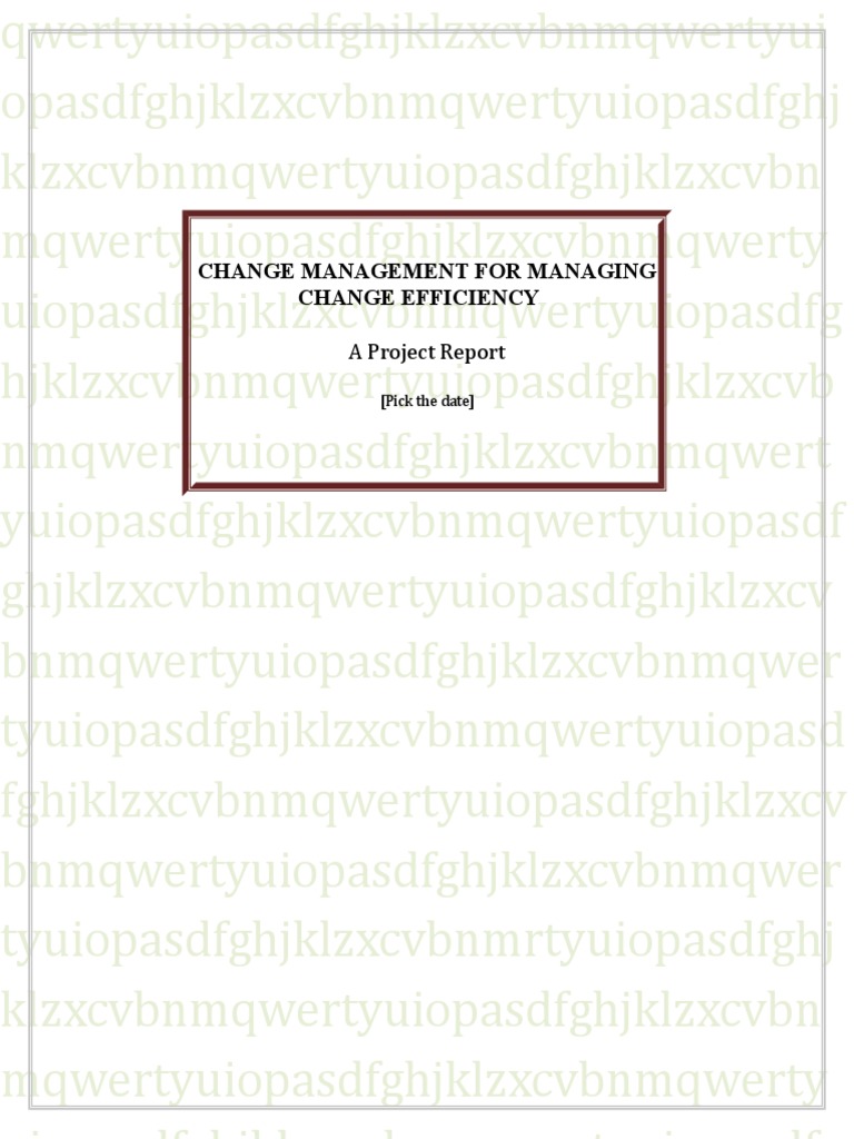 Change Management Efficiency Report | PDF | Change Management ...