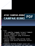CAMPAK RUBELLA PP.pptx