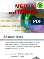 Uveitis Anterior Belum Fix.pptx