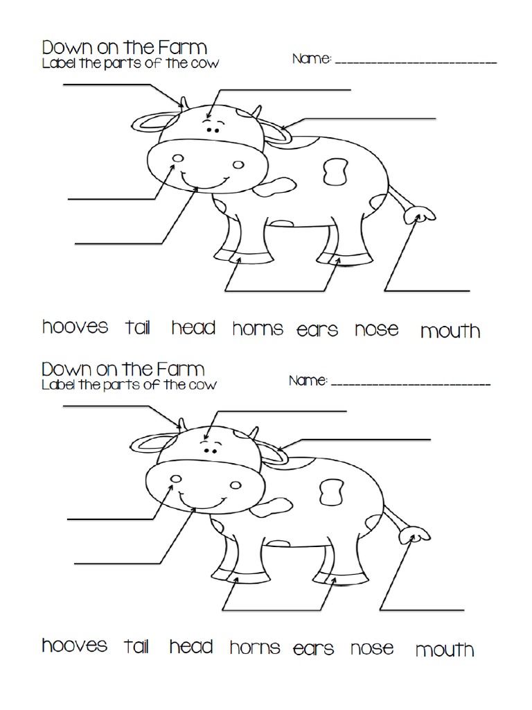 Label The Cow | PDF