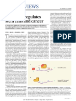 Nature23548 - Vitamin C Regulates Stem Cells and Cancer