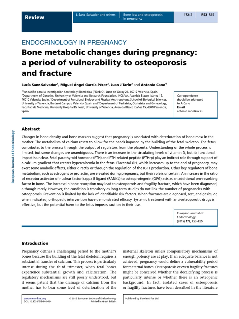 Bone Metabolic Changes During Pregnancy PDF | PDF | Osteoporosis | Bone