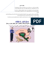 ماكلين طبقات الدماغ