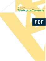 13-Petróleos de Venezuela