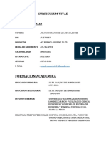 Curriculum Vitae 2