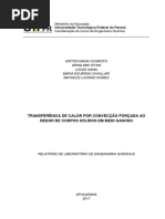Relatório - Convecção Forçada (LabEQ)
